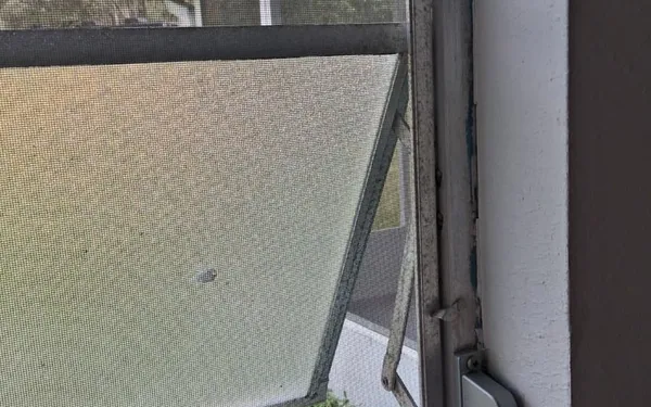 Balances de Ventanas